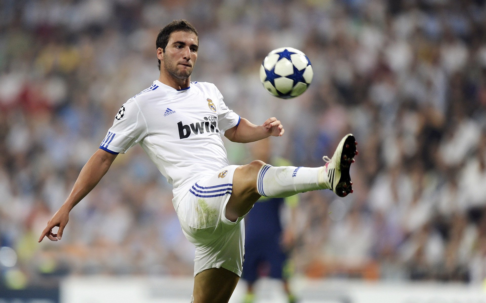 保利尼奥在2023赛季巴甲联赛中荣膺最佳射手，保利尼奥是巴西主力吗